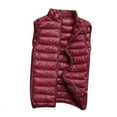 thumbnail image 1 of Dgankt Fall Coats Mens Lightweight Down Puffer Vest Sleeveless Solid Color Basic Stand Collar Windproof Packable Warm Winter Vest, 1 of 7