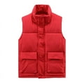 thumbnail image 1 of Dgankt PufferJacket Men Men Puffer Vest Lightweight Stand Collar Cotton Sleeveless Winter Warm Zip Up Padded Outerwear Jackets with Pockets, 1 of 2