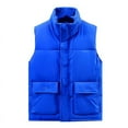 thumbnail image 1 of Dgankt Winter Jackets for Men Men Puffer Vest Lightweight Stand Collar Cotton Sleeveless Winter Warm Zip Up Padded Outerwear Jackets with Pockets, 1 of 2