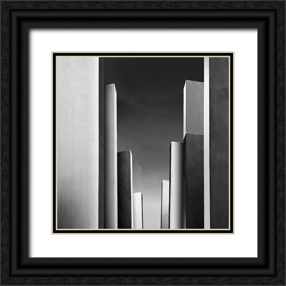Sebastiano, Di 12x12 Black Ornate Wood Framed with Double Matting Museum Art Print Titled - Di Sebastiano - Il Giardino Incantato II