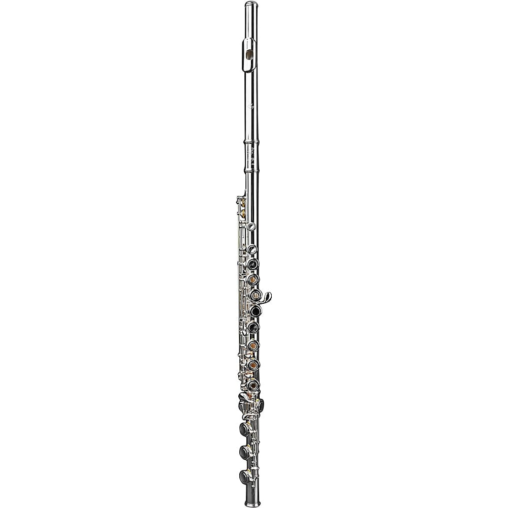 Di Zhao DZ 401 Student Flute, Open Hole, Y-arms, All Silver Plated with Silver Lip and Riser Offset G B-Foot