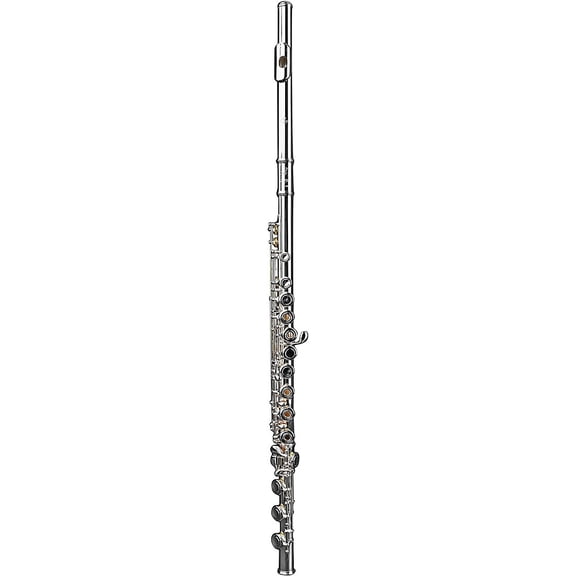 Di Zhao DZ 401 Student Flute, Open Hole, Y-arms, All Silver Plated with Silver Lip and Riser Offset G B-Foot