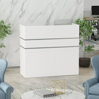 Small White Modern Salon Reception Front Desk — Rickle.