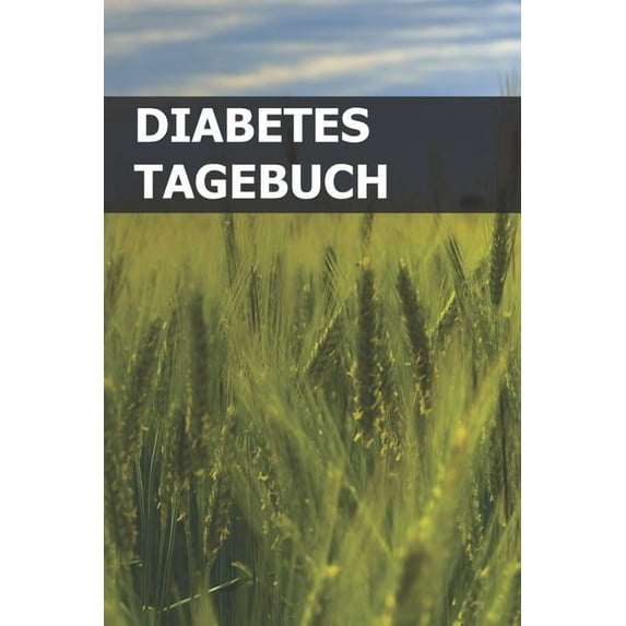 Diabetes Tagebuch : Blutzucker Und Insulin Im Blick Behalten Für Mehr Als 100 Tage - Klein & Kompakt Ca. A5 (Paperback)