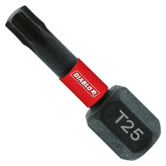 100PK 1" #25 TORX BIT