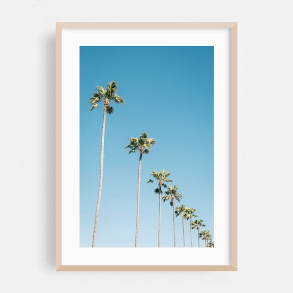 Diagonal Palms - Newport Beach California Photography Palm Tree Tropical Minimalist Summer Beach Nature Coastal Oak Framed Wall Art Print 5 x 7 inches