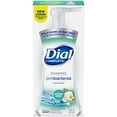 thumbnail image 1 of Dial Antibacterial Foaming Hand Wash - Coconut Water - 7.5 oz (Pack of 2), 1 of 5