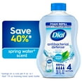 thumbnail image 1 of Dial Antibacterial Defense Spring Water Foaming Hand Soap Refill, 30 fl oz, 1 of 13