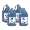 thumbnail image 1 of Dial Antibacterial Foaming Hand Wash Refill, Spring Water Scent, 1 gal, 4/Carton, 1 of 7