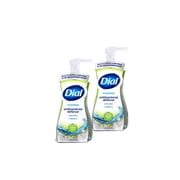 Dial Antibacterial Foaming Hand Wash, Soothing White Tea, 7.5 fl oz 2 Count