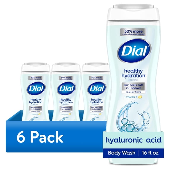 (6 pack) Dial Body Wash, Healthy Hydration, Hyaluronic Acid, 16 fl oz