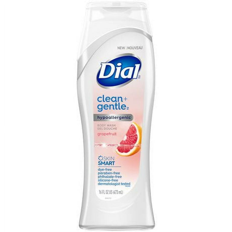 ディシラ　body wash ディシラボディーウォッシュ