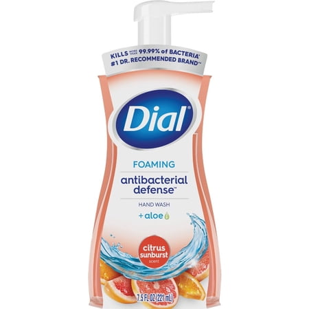 Dial Complete Kitchen Citrus Foam Pump