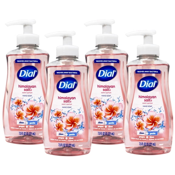 Dial Complete Liquid Moisturizing Hand Soap Himalayan Salt 7.5 oz Pack of 4