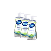 Dial Foaming Hand Wash 7.5oz Anti-Bacterial White Tea Pack of 3