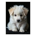 thumbnail image 1 of Diamond Art Kit for Adults, Adorable Puppy Portrait Soft Fur Diamond Painting for Adults Beginners, DIY Diamond Art Painting Kits, 5D Diamond Painting Crafts for Home Decor 12x16 Frameless, 1 of 7