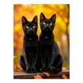 thumbnail image 1 of Diamond Art Kit for Adults, Autumn Black Cats Golden Eyes Diamond Painting for Adults Beginners, DIY Diamond Art Painting Kits, 5D Diamond Painting Crafts for Home Decor 12x16 Frameless, 1 of 7