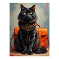 thumbnail image 1 of Diamond Art Kit for Adults, Black Cat Orange Bag Fusion Diamond Painting for Adults Beginners, 5D DIY Diamond Art Painting Kits, Colorful Diamond Painting Craft for Home Decor 12x16, 1 of 7