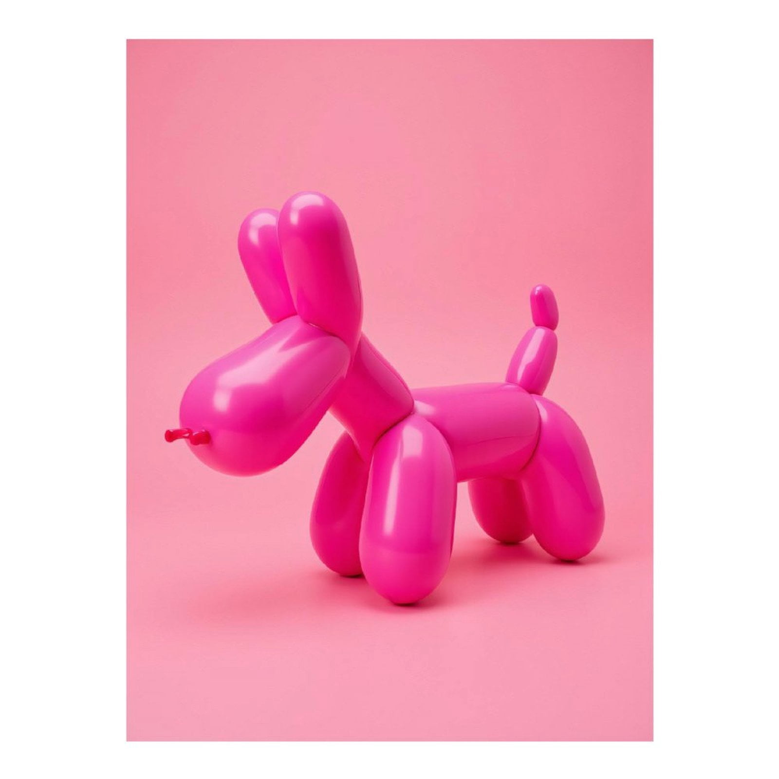 Diamond Art Kit for Adults, Bright Pink Balloon Animal Dog Diamond Painting for Adults Beginners, 5D DIY Diamond Art Painting Kits, Colorful Diamond Painting Craft for Home Decor 12x16