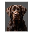 thumbnail image 1 of Diamond Art Kit for Adults, Chocolate Labrador Portrait Diamond Painting for Adults Beginners, DIY Diamond Art Painting Kits, 5D Diamond Painting Crafts for Home Decor 12x16 Frameless, 1 of 7