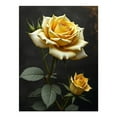 thumbnail image 1 of Diamond Art Kit for Adults, Classy Rose Print No.616 Diamond Painting for Adults Beginners, 5D DIY Diamond Art Painting Kits, Colorful Diamond Painting Craft for Home Decor 12x16, 1 of 7