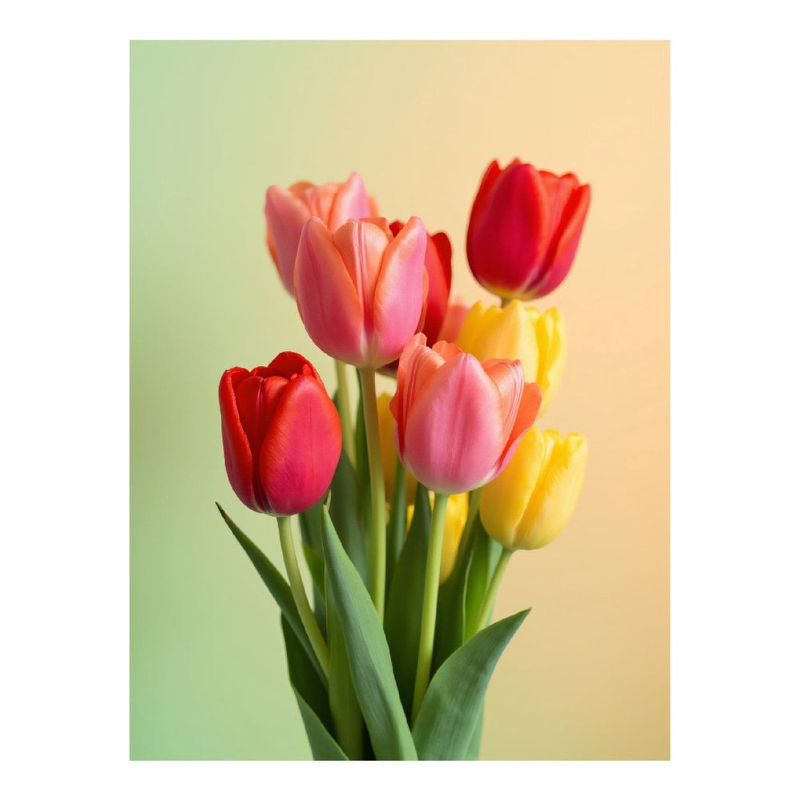 Diamond Art Kit for Adults, Colorful Spring Tulips Bouquet Diamond Painting for Adults Beginners, DIY Diamond Art Painting Kits, 5D Diamond Painting Crafts for Home Decor 12x16 Frameless