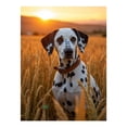 thumbnail image 1 of Diamond Art Kit for Adults, Dalmatian Sunset Wheat Field Diamond Painting for Adults Beginners, 5D DIY Diamond Art Painting Kits, Colorful Diamond Painting Craft for Home Decor 12x16, 1 of 7