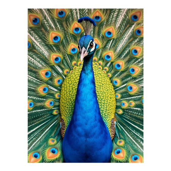 Diamond Art Kit for Adults, Elegant Peacock Plumage Display Diamond Painting for Adults Beginners, DIY Diamond Art Painting Kits, 5D Diamond Painting Crafts for Home Decor 12x16 Frameless