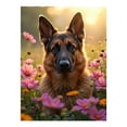 thumbnail image 1 of Diamond Art Kit for Adults, German Shepherd In Flower Field Diamond Painting for Adults Beginners, DIY Diamond Art Painting Kits, 5D Diamond Painting Crafts for Home Decor 12x16 Frameless, 1 of 7