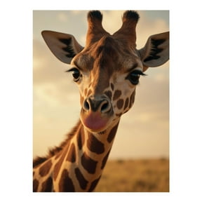 Diamond Art Kit for Adults, Giraffe Closeup Zoo Sunset Diamond Painting for Adults Beginners, 5D DIY Diamond Art Painting Kits, Colorful Diamond Painting Craft for Home Decor 12x16