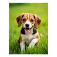thumbnail image 1 of Diamond Art Kit for Adults, Happy Beagle Puppy Green Grass Diamond Painting for Adults Beginners, DIY Diamond Art Painting Kits, 5D Diamond Painting Crafts for Home Decor 12x16 Frameless, 1 of 7