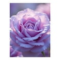 thumbnail image 1 of Diamond Art Kit for Adults, Lavender Rose Petals Close Up Diamond Painting for Adults Beginners, 5D DIY Diamond Art Painting Kits, Colorful Diamond Painting Craft for Home Decor 12x16, 1 of 7
