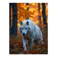 thumbnail image 1 of Diamond Art Kit for Adults, Majestic White Wolf In Autumn Forest Diamond Painting for Adults Beginners, DIY Diamond Art Painting Kits, 5D Diamond Painting Crafts for Home Decor 12x16 Frameless, 1 of 7