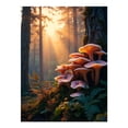 thumbnail image 1 of Diamond Art Kit for Adults, Mushrooms Sunrise Forest Scene Diamond Painting for Adults Beginners, 5D DIY Diamond Art Painting Kits, Colorful Diamond Painting Craft for Home Decor 12x16, 1 of 7