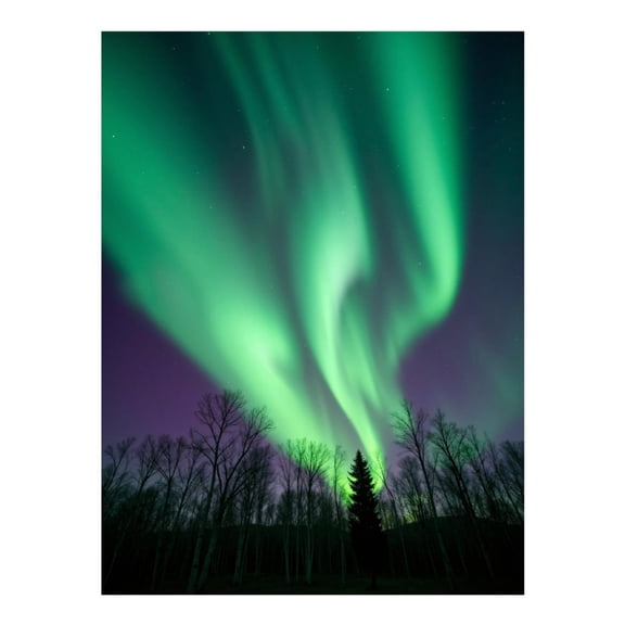 Diamond Art Kit for Adults, Northern Lights Aurora Forest Night Diamond Painting for Adults Beginners, DIY Diamond Art Painting Kits, 5D Diamond Painting Crafts for Home Decor 12x16 Frameless