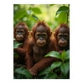 thumbnail image 1 of Diamond Art Kit for Adults, Orangutans Jungle Greenery Diamond Painting for Adults Beginners, 5D DIY Diamond Art Painting Kits, Colorful Diamond Painting Craft for Home Decor 12x16, 1 of 7