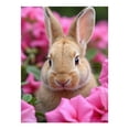 thumbnail image 1 of Diamond Art Kit for Adults, Rabbit In Pink Flowers Garden Diamond Painting for Adults Beginners, DIY Diamond Art Painting Kits, 5D Diamond Painting Crafts for Home Decor 12x16 Frameless, 1 of 7