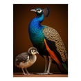 thumbnail image 1 of Diamond Art Kit for Adults, Radiant Bird With Chick Diamond Painting for Adults Beginners, DIY Diamond Art Painting Kits, 5D Diamond Painting Crafts for Home Decor 12x16 Frameless, 1 of 7
