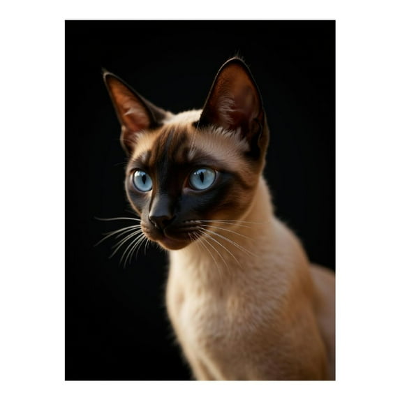 Diamond Art Kit for Adults, Siamese Cat Blue Eyes Diamond Painting for Adults Beginners, 5D DIY Diamond Art Painting Kits, Colorful Diamond Painting Craft for Home Decor 12x16