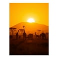 thumbnail image 1 of Diamond Art Kit for Adults, Sunset Savanna Silhouette Scene Diamond Painting for Adults Beginners, DIY Diamond Art Painting Kits, 5D Diamond Painting Crafts for Home Decor 12x16 Frameless, 1 of 7