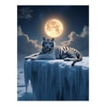 thumbnail image 1 of Diamond Art Kit for Adults, Tiger Moonlit Ice Cliff Diamond Painting for Adults Beginners, DIY Diamond Art Painting Kits, 5D Diamond Painting Crafts for Home Decor 12x16 Frameless, 1 of 7