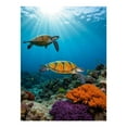 thumbnail image 1 of Diamond Art Kit for Adults, Tropical Sea Turtles Coral Reef Diamond Painting for Adults Beginners, 5D DIY Diamond Art Painting Kits, Colorful Diamond Painting Craft for Home Decor 12x16, 1 of 7