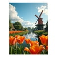 thumbnail image 1 of Diamond Art Kit for Adults, Tulip Windmill Scenic Reflection Diamond Painting for Adults Beginners, DIY Diamond Art Painting Kits, 5D Diamond Painting Crafts for Home Decor 12x16 Frameless, 1 of 7
