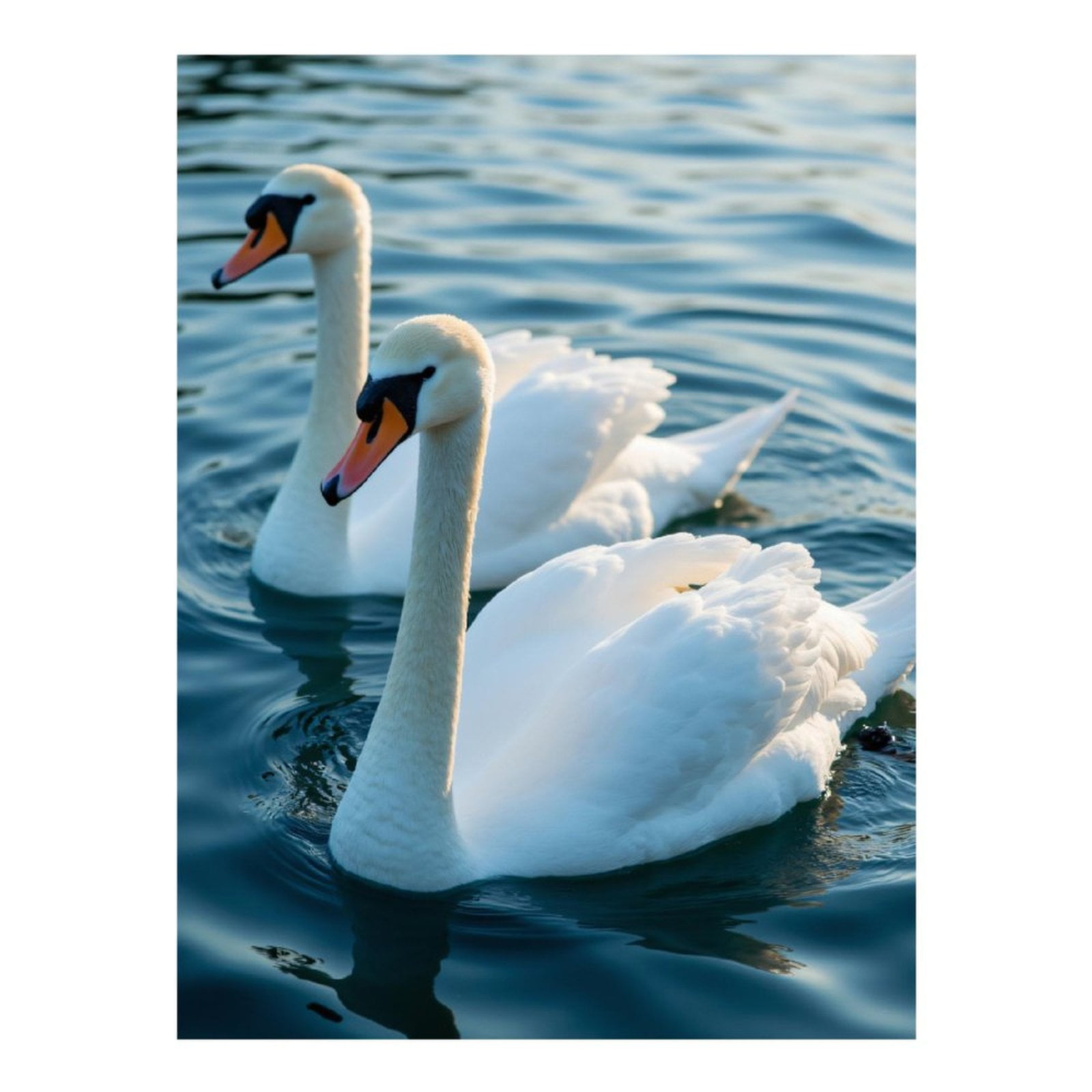 Diamond Art Kit for Adults, White Swans Serene Lake Water Diamond Painting for Adults Beginners, 5D DIY Diamond Art Painting Kits, Colorful Diamond Painting Craft for Home Decor 12x16