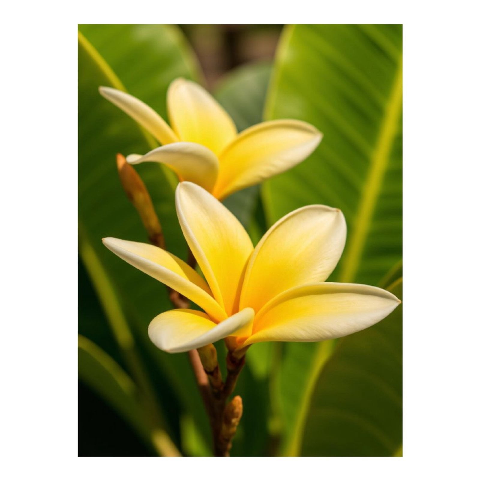 Diamond Art Kit for Adults, Yellow Tropical Flower Blooming Diamond Painting for Adults Beginners, 5D DIY Diamond Art Painting Kits, Colorful Diamond Painting Craft for Home Decor 12x16