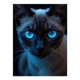 thumbnail image 1 of Diamond Art Kits for Adults - 5d Blue Eyed Cat Portrait Dark Background Diamond Painting for Adults, Diamond Art for Adults Beginners, Diamond Painting Kits for Adults for Home Wall Decor, 1 of 7