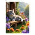 thumbnail image 1 of Diamond Art Kits for Adults - 5d Cat Resting Garden Blooms Scene Diamond Painting for Adults, Diamond Art for Adults Beginners, Diamond Painting Kits for Adults for Home Wall Decor, 1 of 7