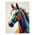 thumbnail image 1 of Diamond Art Kits for Adults - 5d Colorful Horse Abstract Art Diamond Painting for Adults, Diamond Art for Adults Beginners, Diamond Painting Kits for Adults for Home Wall Decor, 1 of 7