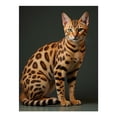 thumbnail image 1 of Diamond Art Kits for Adults - 5d Elegant Spotted Feline Portrait Diamond Painting for Adults, Diamond Art for Adults Beginners, Diamond Painting Kits for Adults for Home Wall Decor, 1 of 7