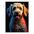 thumbnail image 1 of Diamond Art Kits for Adults - 5d Golden Curly Canine Spectrum Diamond Painting for Adults, Diamond Art for Adults Beginners, Diamond Painting Kits for Adults for Home Wall Decor, 1 of 7